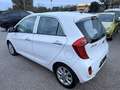 Kia Picanto 1,2 MPI Silber Aut. Weiß - thumbnail 5