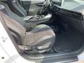 Kia EV6 GT AWD 77.4 kWh 585PS Harman Kardon Blanc - thumbnail 10