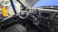 Iveco Daily 35c16 3.0 Pedana- Porta laterale - 435x218 Blu/Azzurro - thumbnail 14