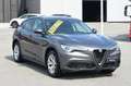 Alfa Romeo Stelvio 2.2 Turbodiesel 190 CV AT8 Q4 Business Grigio - thumbnail 3