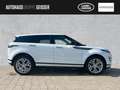 Land Rover Range Rover Evoque D165 AWD R-Dynamic SE ACC Biały - thumbnail 6