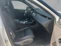 Land Rover Range Rover Evoque D165 AWD R-Dynamic SE ACC Biały - thumbnail 3