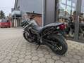 Triumph Tiger 800 XRT Verde - thumbnail 3