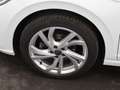 Volkswagen Polo Style 1.0 TSI DSG / Matrix LED, ACC, SHZ Weiß - thumbnail 5