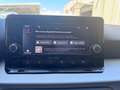 SEAT Arona Arona 1.0 tgi Style 90cv Argento - thumbnail 4