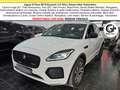 Jaguar E-Pace R-Dynamic SE Navi Camera Tetto C.20" RDynamic camera Blanc - thumbnail 1