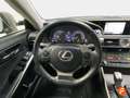 Lexus IS 300 300h Luxury Gri - thumbnail 11