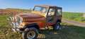 Jeep CJ-7 Automatic Бронзовий - thumbnail 5