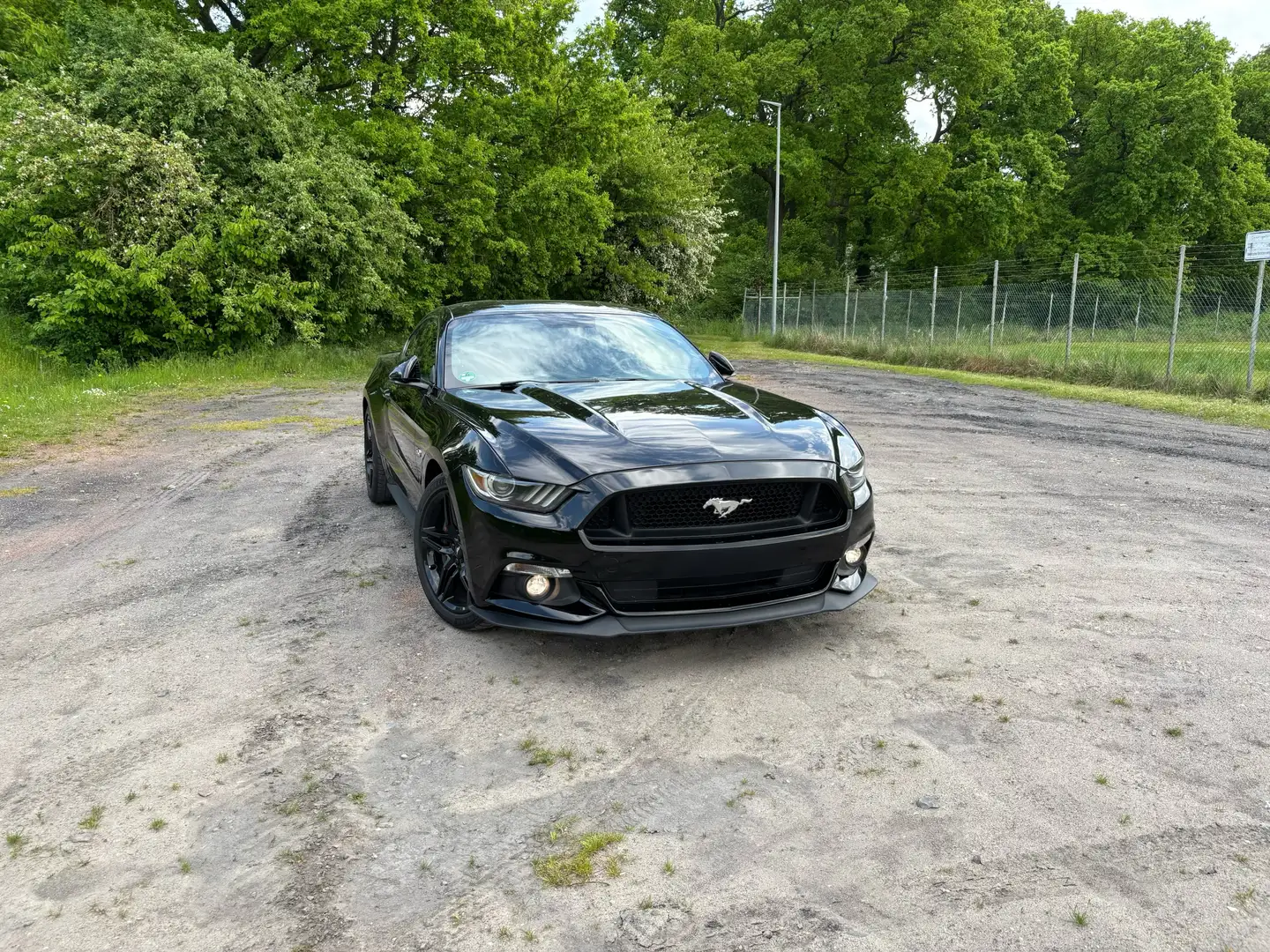 Ford Mustang EU V8 GT Voll Kamera Klappenanlage Tüv Neu 8-fach Schwarz - 2