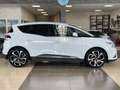 Renault Scenic BOSE Edition Limited 160 Navi Weiß - thumbnail 4
