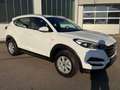 Hyundai TUCSON 1.6 Classic Blue / Navi / WR / AHK Weiß - thumbnail 5