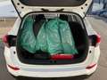 Hyundai TUCSON 1.6 Classic Blue / Navi / WR / AHK Weiß - thumbnail 11