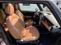 MINI Cooper Mini Cooper 50 MAYFAIR 1.6 PANORAMA/XENON Marrone - thumbnail 14