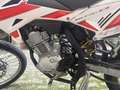 Beta RR 125 Beta RE 125 4T - thumbnail 2