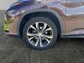 Lexus RX 450h E-four Executive 8-fach bereift Braun - thumbnail 15