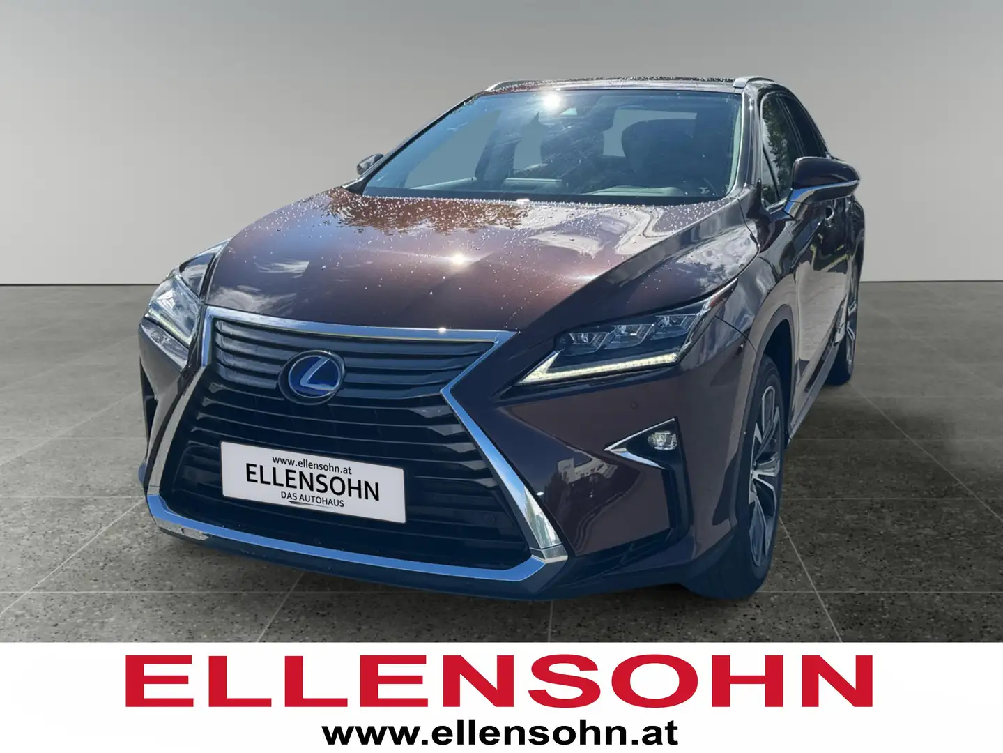 Lexus RX 450h E-four Executive 8-fach bereift Braun - 1