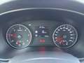 Kia Sportage 1.6 CRDI 136 CV DCT7 M-Hybrid Business Class Grau - thumbnail 13