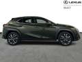 Lexus UX 250h F SPORT Design Verde - thumbnail 14