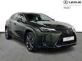 Lexus UX 250h F SPORT Design Verde - thumbnail 16