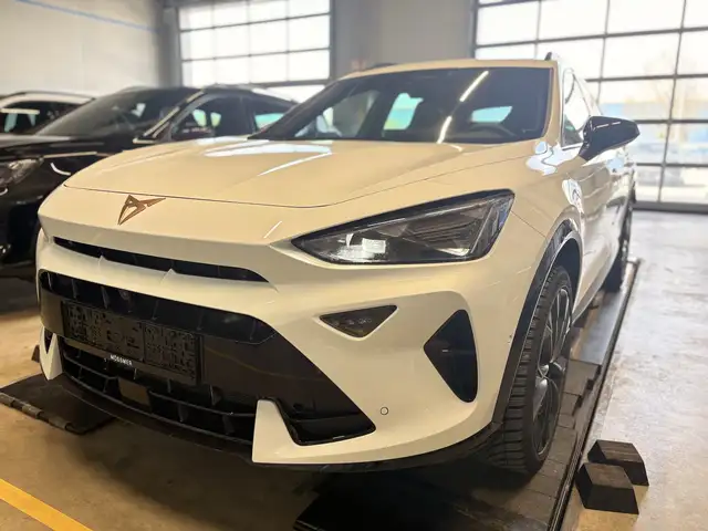 CUPRA Formentor 2.0TSI DSG 19´´ Pano AHK HAGEL