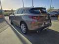 Alfa Romeo Stelvio Stelvio 2.2 Business Q4 190cv my19 perfetta autom. Beige - thumbnail 18