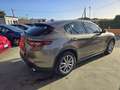 Alfa Romeo Stelvio Stelvio 2.2 Business Q4 190cv my19 perfetta autom. Beige - thumbnail 20