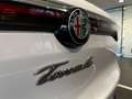 Alfa Romeo Tonale 1.6 130cv Diesel, allestimento Ti Rosso - thumbnail 9