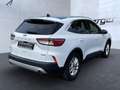 Ford Kuga Titanium X PHEV LED Navi Tempomat Cam PDC B&O Blanc - thumbnail 4