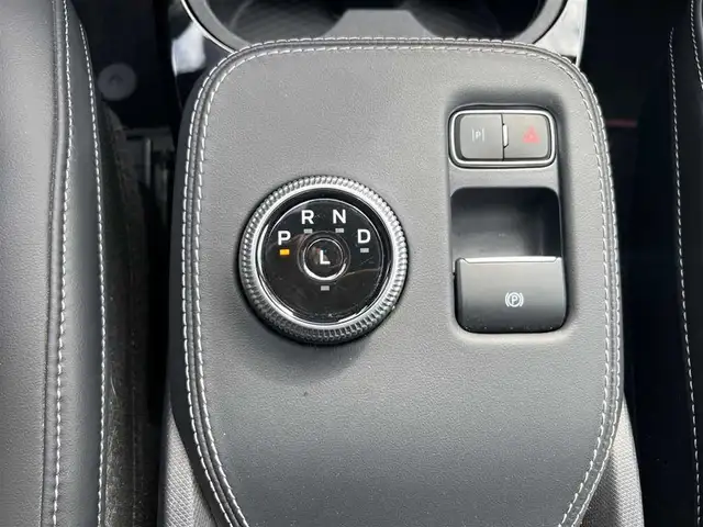 Ford Mustang Mach-E view 14