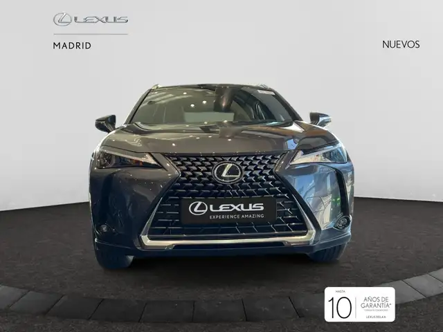 Lexus UX 300h +