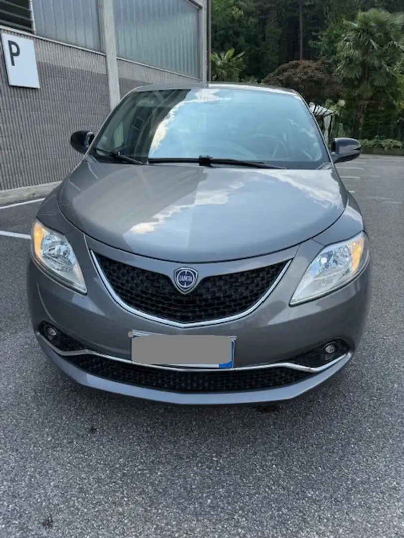 Lancia Ypsilon Ypsilon 1.2 Platinum 69cv Grigio - 1