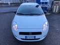 Fiat Grande Punto Grande Punto 5p 1.2 Actual s GPL Blanco - thumbnail 2