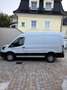 Ford Transit Ford Transit L2H2 Kleinbus 2,0 EcoBlue L2H2 350 - thumbnail 1
