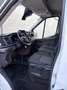 Ford Transit Ford Transit L2H2 Kleinbus 2,0 EcoBlue L2H2 350 - thumbnail 7