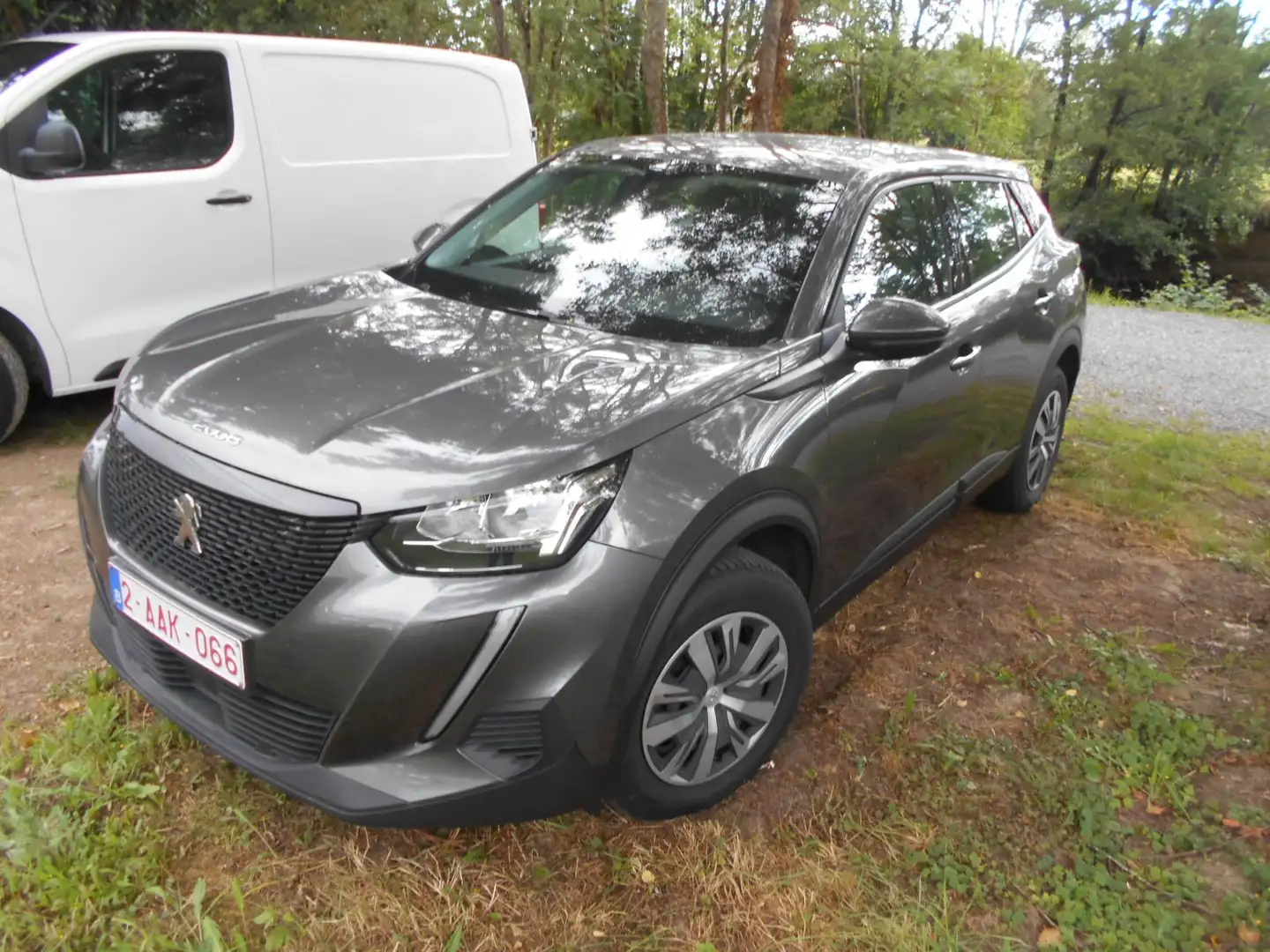 Peugeot 2008 2008 1.5 BlueHDi Style S Grijs - 1