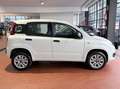 Fiat Panda 0.9 t air natural power *PREZZO REALE NO VINCOLI* Weiß - thumbnail 4