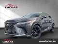 Lexus RX 450h + Executive*15 J. GARANTIE*PANO*CARPLAY* Gri - thumbnail 4