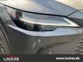 Lexus RX 450h + Executive*15 J. GARANTIE*PANO*CARPLAY* Gri - thumbnail 2