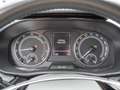 Skoda Fabia 1.0 TSI Ambition DSG KLIMA PDC LED Blau - thumbnail 12