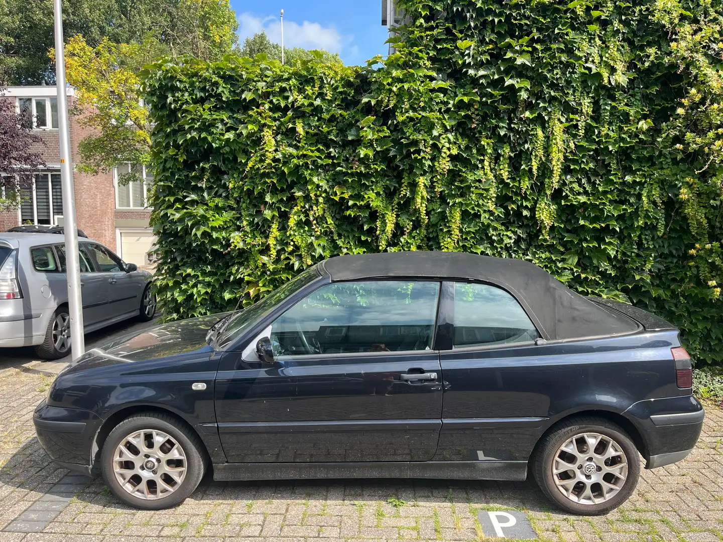 Volkswagen Golf Cabriolet Golf Cabriolet 2.0 Trendline Blauw - 1
