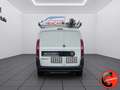 Fiat Doblo 1.4 N.P(ALLESTITO EX RETE GAS-PC-TN)POCHI KM CERTI Blanc - thumbnail 7