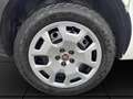 Fiat Doblo 1.4 N.P(ALLESTITO EX RETE GAS-PC-TN)POCHI KM CERTI Blanc - thumbnail 19