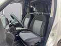 Fiat Doblo 1.4 N.P(ALLESTITO EX RETE GAS-PC-TN)POCHI KM CERTI Blanc - thumbnail 11