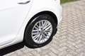 Volkswagen Golf 1.2 TSI CUP Edition DSG, PANO, CRUISE, STOELVERWAR Wit - thumbnail 27