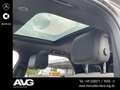 Land Rover Discovery Discovery 5 D250 R-Dynamic SE Sthzg. AHK Pano 7S Grau - thumbnail 11