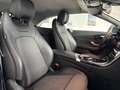 Mercedes-Benz C 220 220 d Sport auto Gri - thumbnail 14