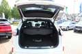 Ford Edge ST-Line 4x4 21"  AHK Schiebedach Weiß - thumbnail 5