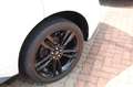 Ford Edge ST-Line 4x4 21"  AHK Schiebedach Weiß - thumbnail 8