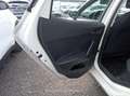 SEAT Ibiza 1.0 TSI 81kW (110CV) Style Go2 - thumbnail 9
