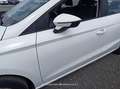 SEAT Ibiza 1.0 TSI 81kW (110CV) Style Go2 - thumbnail 24
